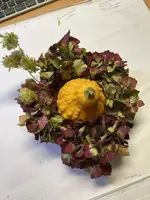 IMG_2843.webp IMG_2843.webp