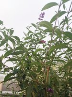 IMG_20231011_080749.jpg