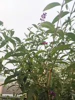 IMG_20231011_080749.webp