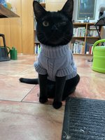 AEDD1654-BB14-4D6C-9B4A-42909C28FCA1.jpeg