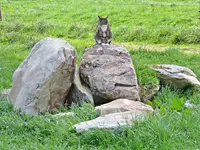 IMG_1645 v (2).webp