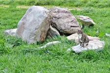 IMG_1647 v (2).webp