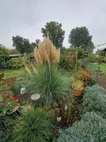 20231012_105908.webp