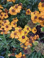 20231012_105505.webp
