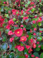 20231012_094916.webp