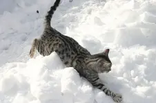 Jan.5910.webp