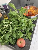 IMG_3630.jpeg