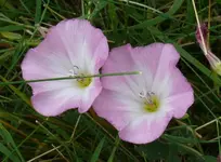 2023Winde.webp