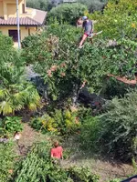 IMG-20231007-WA0018.webp