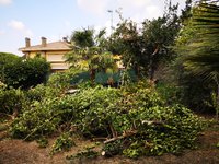 IMG_20231007_134017.jpg