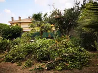 IMG_20231007_134017.webp