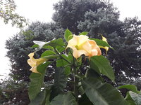 20231010_162954.jpg