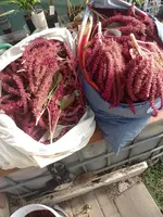 IMG_20231008_152247.webp