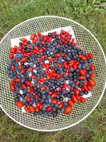 IMG_20231013_150552.webp