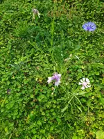 IMG_20231013_111726.webp