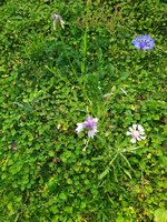 IMG_20231013_111726.jpg
