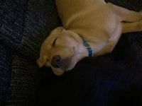 IMG_0210.jpeg