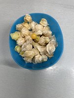 IMG_2876.jpeg