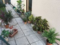 IMG_1276.JPG