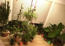 IMG_E1288.JPG