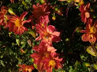 IMG_20231015_152033.webp