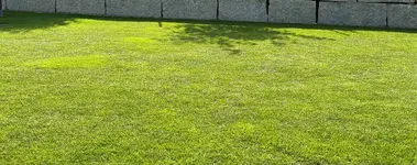 IMG_20231008_150450.webp