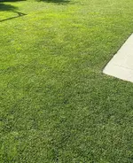IMG_20231008_153417.jpg_compressed.webp