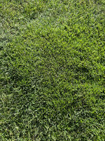IMG_20231008_160244.jpg_compressed.JPEG