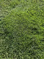 IMG_20231008_160244.jpg_compressed.webp
