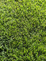 IMG_20231008_160248.jpg_compressed.JPEG