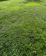 IMG_20231008_160300.jpg_compressed.JPEG