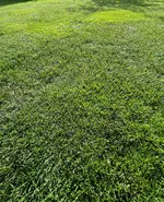 IMG_20231008_160300.jpg_compressed.webp