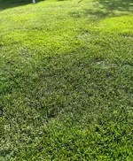 IMG_20231008_160306.jpg_compressed.webp
