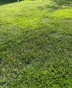 IMG_20231008_160306.jpg_compressed.JPEG