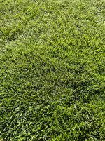 IMG_20231008_160309.jpg_compressed.webp