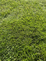 IMG_20231008_160309.jpg_compressed.JPEG