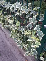 20231015_174257.webp