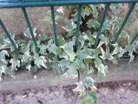 20231015_174323.webp
