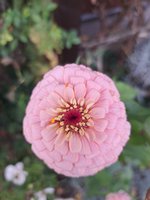20231016_103621.jpg