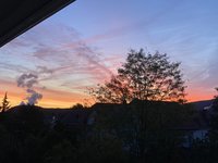 IMG_3661.jpeg
