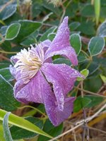 IMG_20231016_081551.jpg