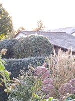 IMG_20231016_081704.jpg