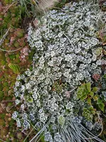IMG_20231016_082254_1.jpg