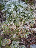 IMG_20231016_082224_1.jpg
