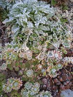 IMG_20231016_082224_1.jpg