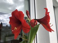 IMG_4211.jpeg