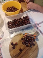 IMG_20231015_152720.jpg
