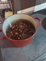 IMG_20231015_152734.jpg