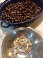 IMG_20231015_180752.jpg