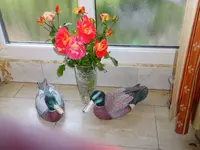 DSC03188.webp